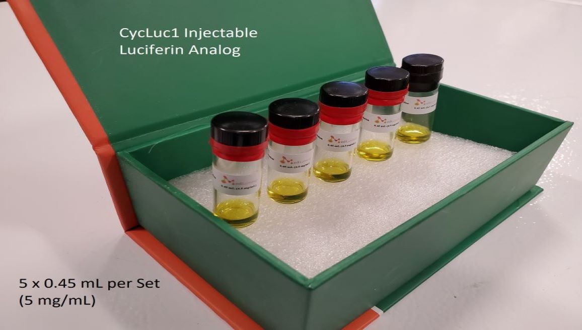 Mbio_CycLuc1 Injectable Luciferin Analog